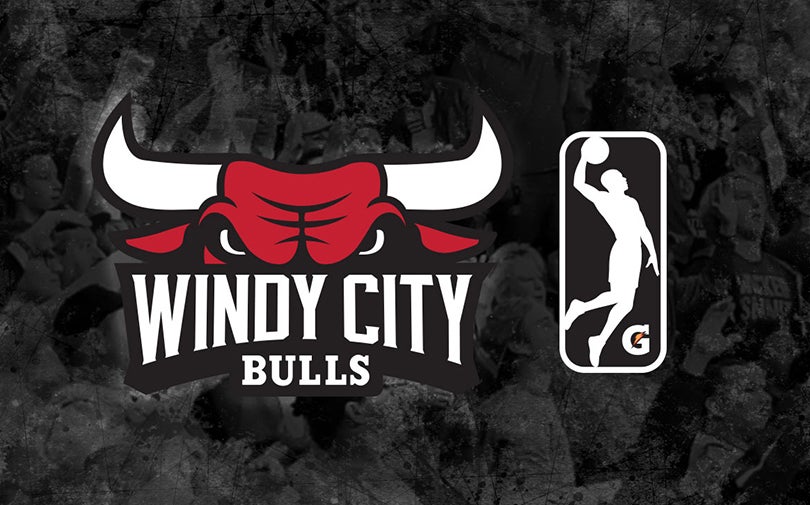 Windy City Bulls vs. Sioux Falls Skyforce
